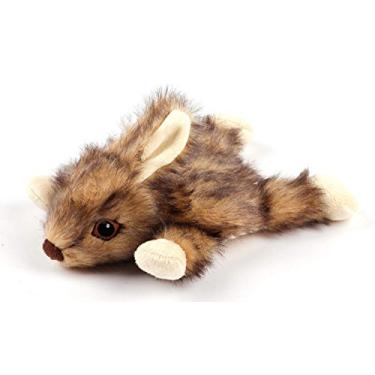 Imagem de Orel Rabbit AFP para Cães