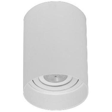 Imagem de Plafon Sobrepor Direcionavel Redondo Branco E27 Par20 Zan95