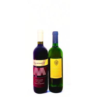 Imagem de 2 Vinhos Italianos San Martino e Malvasia 750ml - San Martino, Malvasi