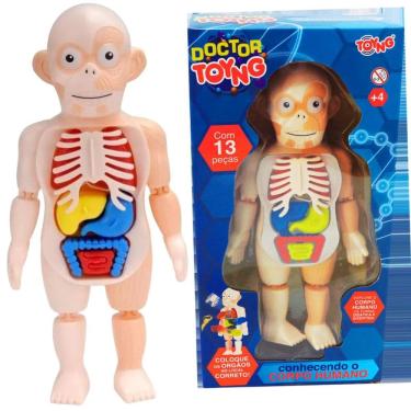 Imagem de Kit Medico Corpo Humano Em Plastico