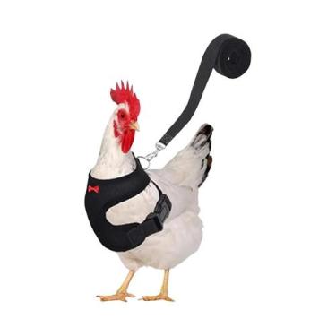 Imagem de Coleira Peitoral Para Galinhas, Patos E Aves De Estimação Com Laço Com