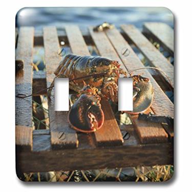 Imagem de 3dRose lsp_72044_2 Nova Scotia, Cape Breton, armadilhas de lagosta, interruptor duplo de pesca