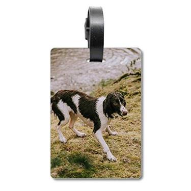 Imagem de Bolsa de viagem com imagem de animal preta e branca com etiqueta para cartão de bagagem