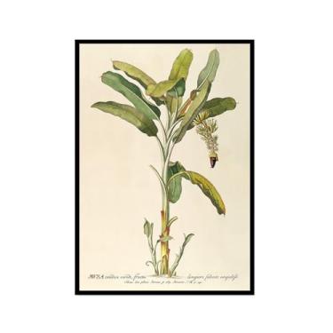 Imagem de Pôster vintage tropical botânico antigo palmeiras abacaxi arte de parede pintura em tela para sala de estar decoração de casa (SKU4,20.3x30.5 cm = (20x30 cm), moldura preta para fotos)