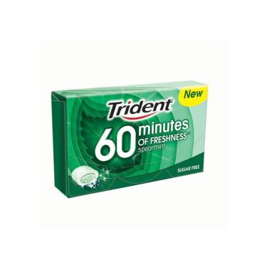 Imagem de Chiclete Trident 60 Minutes Spearmint Importado 20g