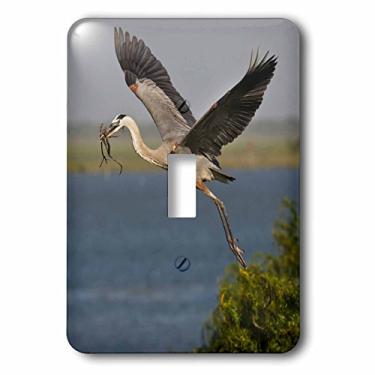 Imagem de 3dRose lsp_147002_1 Pássaro de garça azul grande com material de ninho, Texas, EUA Us44 Ldi0896 Larry Ditto interruptor único