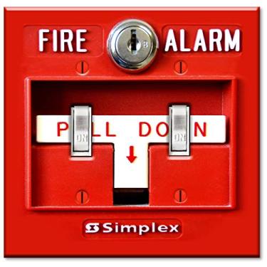 Imagem de Art Plates Placa de interruptor de tamanho grande de 2 gangs - Placa decorativa de parede de metal grande - impressão de alarme de incêndio - (feita nos EUA)