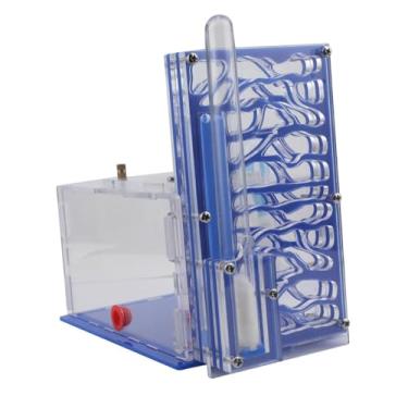 Imagem de Ｂｅｓｇａ de formigas com cesto de ração, caixa de criação de formigas para o dia crianças, amantes de casa, quarto, Azul