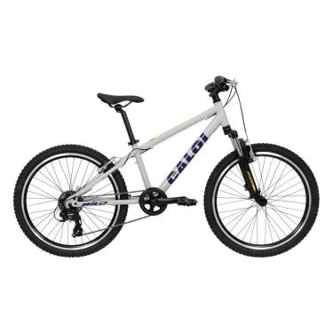 Imagem de Bicicleta Wild Aro 24 Cinza Alumínio 8v com Suspensão Dianteira 2025