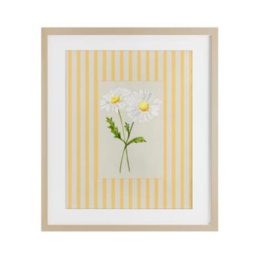 Imagem de Stupell Industries Impressão emoldurada de bétula margarida listrada amarela sob vidro, design de Lisa Wehmeyer, 40,6 x 33,5 cm
