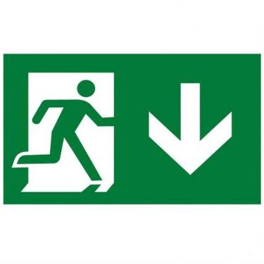 Imagem de Placa de Pvc Fotoluminescente Autoadesiva 15x30 Seta Reta Para Baixo 315 Ao Sinalize Placa Pvc