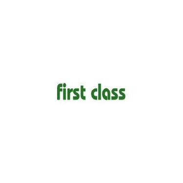 Imagem de Carimbo autotintado First Class – Verde