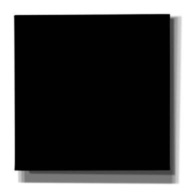 Imagem de Epic Art Group Tela preta fosca esticada de algodão artista, 76 cm x 76 cm x 3,8 cm, ótima para aquarela