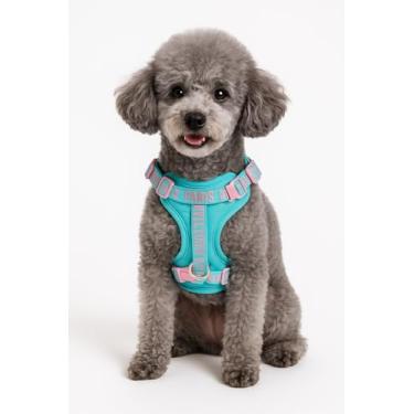 Imagem de Peitoral para animais de estimação, turquesa, tamanho P, colete ajustável para cães com anel em D