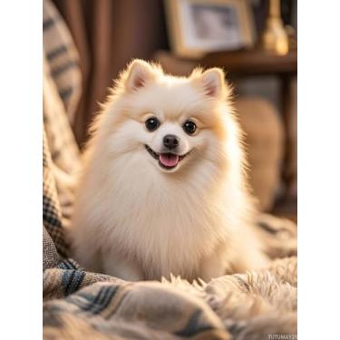 Imagem de TUTUMAY21 Kits de pintura de diamante 5D DIY Pomeranian Dog Diamond Art Full Round Drill Strass por número bordado artes e artesanato para sala de estar decoração de parede de casa 12 x 16 polegadas