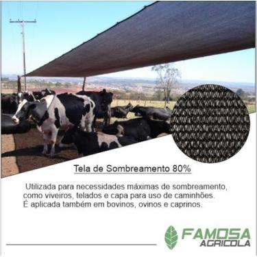 Imagem de Tela de rafia para sombreamento 80% 4X15 - SOLPACk
