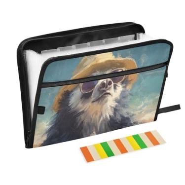 Imagem de CEBUGI Pasta expansível de 13 bolsos, impermeável, sanfonada, organizador de arquivos com etiquetas tamanho A4, organizador de documentos de papel para escola, material de escritório, preguiça