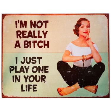 Imagem de Placa De Metal Vintage/retro Humor