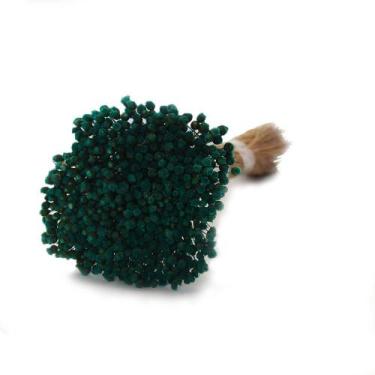 Imagem de Buque Pimentinha - Fortes Verde Desidratado - Tem Flores