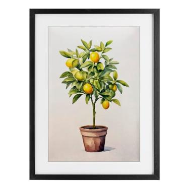 Imagem de Stupell Industries Serenata de árvore cítrica impressão emoldurada preta sob vidro design por Andrea Haase, 20 x 14