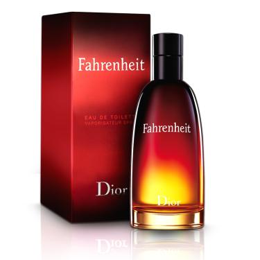 Perfume Fahrenheit Masculino Eau De Toilette 50ml Christian Dior