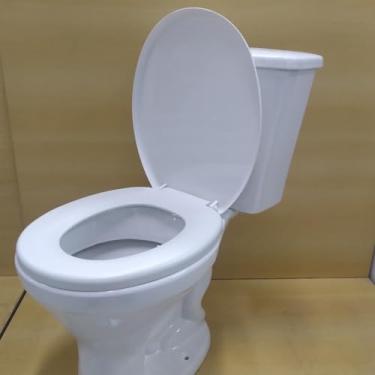 Imagem de Assento Tampa Vaso Sanitário Oval Universal Não Almofadado Resistente Confortável Diversas Cores(BRANCO - BR1)