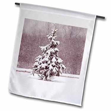 Imagem de 3dRose fl_38577_1 Palmeira emoldurada - Das praias de Fort Lauderdale, Flórida, Aproveite a bandeira do jardim de verão, 30 x 45 cm