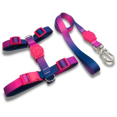 Imagem de Coleira Peitoral Tipo H para Cães - Anti-Puxão com Guia de 1,10m | Varias Estampas (Roxo,G)