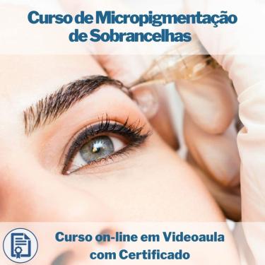 Imagem de Curso on-line em videoaula de Micropigmentação de Sobrancelhas com Certificado