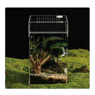 Imagem de Terrário de acrílico para répteis e aranhas – caixa à prova de vazamento pequeno/médio/grande (horizontal/vertical) | Ideal para tarântulas, aranhas saltadoras, sapos e lagartixas (grande VERT)