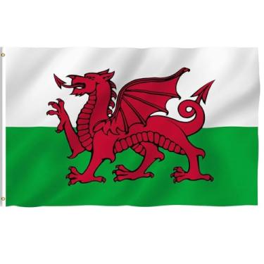 Imagem de Bandeira do país | 9,5 x 1,5 m | Cor vívida e à prova de desbotamento, poliéster 100D impresso, cores vibrantes, ilhós de latão, cabeça de lona de poliéster para ambientes internos e costura dupla com