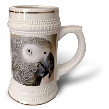 Imagem de 3dRose Caneca de papagaio cinza africano - NA02 MFR0001-MFR-Stein, 530 ml, caneca de 640 ml, branca