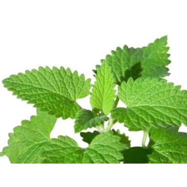 Imagem de Semente Hortaliça/Verdura/Especiaria monte seu kit personalizado - Alp