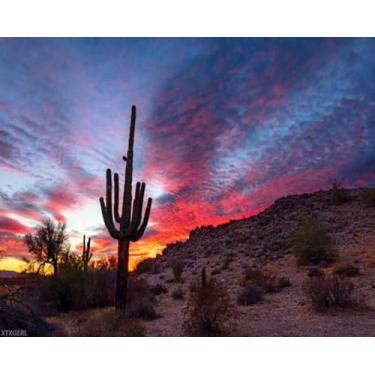 Imagem de XTXGERL Pintura digital DIY Saguaro Cactus Silhouette Arizona Desert Landscape at Sunset Paint by Numbers Kits desenho em tela sem moldura adultos iniciante arte de parede decoração de casa 40 cm x 50