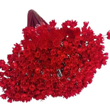 Imagem de Buquê de 300 Florzinhas, Sempre Viva e Mosquitinhos, Decorativo para Casa e Festas(Vermelha)