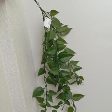 Imagem de Folhagem jiboia 1m pendurar com print plastico x145 verde - florarte