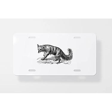 Imagem de Aardwolf or Proteles Cristatus Vintage Gravação Capa para Placa de Licença - Capa para Placa de Carro - Capa para Moldura de Placa de Licença 15 x 30 cm