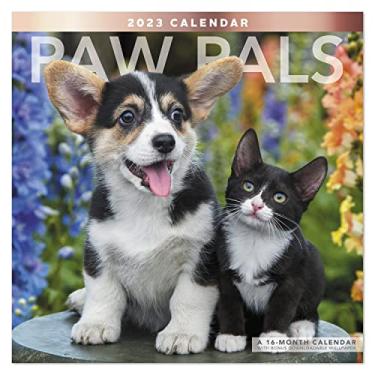 Imagem de Calendário de parede mensal Paw Pals 2023, 16 meses, 30,48 x 30,48 cm (LME2261023)