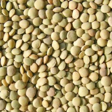 Imagem de Lentilha Comum - 2kg - N4 NATURAL