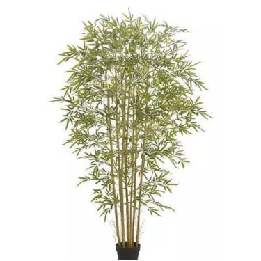 Imagem de Planta Árvore Artificial Bambu Real Toque Verde 1,9m - FLORESCER DECOR