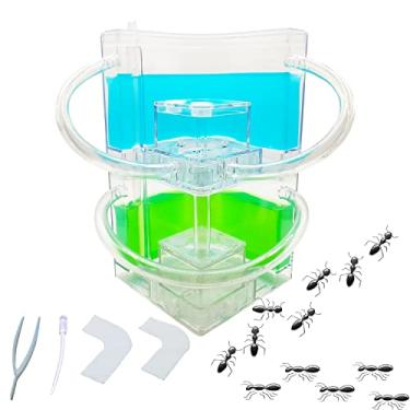 Imagem de EXBEPE Ant Farm para crianças, grande, camada dupla, colônia de formigas, ecossistema, terrário, relógio, formigas, escavam suas próprias formigas, túneis, kit de aprendizagem científica para crianças e adultos (sem formiga)