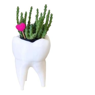 Imagem de Vaso De Planta Decorativo Para Suculentas Odontologia Dente - V I X 3 