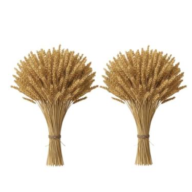 Imagem de Enfeites Para Festa Junina - 400 Hastes De Trigo Seco Natural Para DecoraçãO De Mesa, Arranjo RúStico Elegante Para Arraiá (02 Maços (80 Hastes))