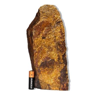 Imagem de 01 Bronzita Pé Serrado 14 a 18cm 2 a 3kg Tipo B - Cristaisdecurvelo
