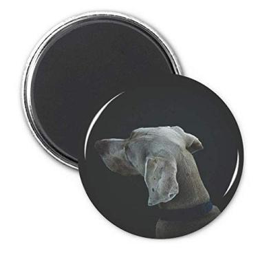 Imagem de Dog Pet Animal Lonely Night geladeira ímã adesivo decoração presente