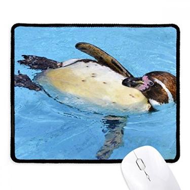 Imagem de Mousepad para natação da Antártica Penguin Science Nature Picture Tapete de borracha para jogos