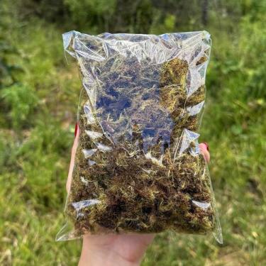 Imagem de Musgo Verde Desidratado Natural  Ideal para Orquídeas, Arranjos e Deco