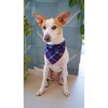Imagem de Bandana para Pet - Recife - BenDog, GG