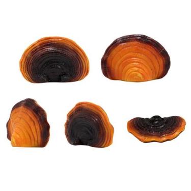 Imagem de Prateleira, prateleiras flutuantes, adesivo de parede de resina Cottag