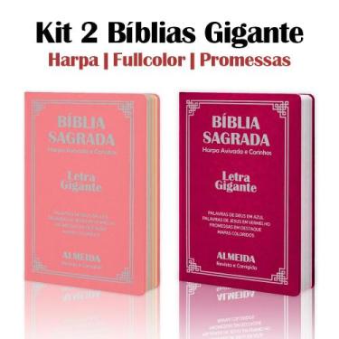 Imagem de Kit 2 Biblias Sagrada Letra Gigante Luxo Popular - Pink e Rosa- Com Ha